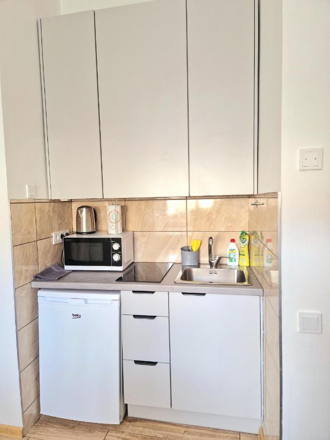 Appartamento Cozy Studio In Heart Of Old Town Vilnius Esterno foto